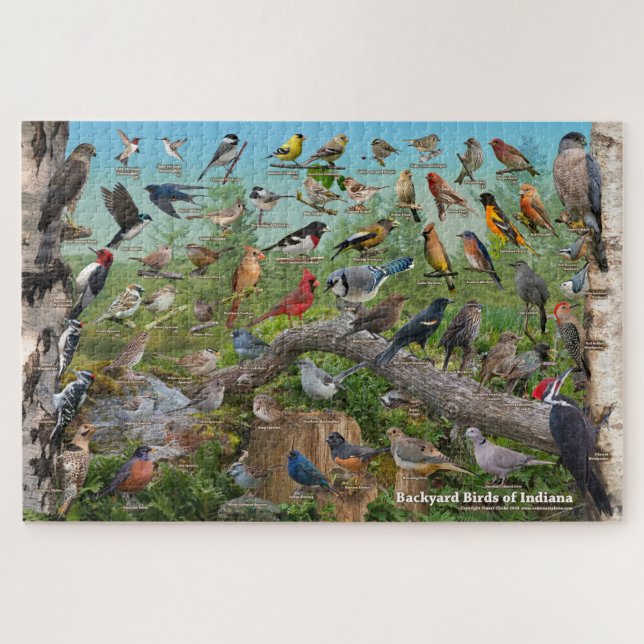 Puzzle Oiseaux jardins de l'Indiana (Horizontal)