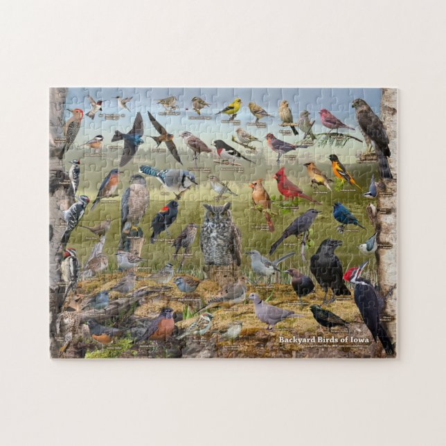 Puzzle Oiseaux jardins de l'Iowa (Horizontal)
