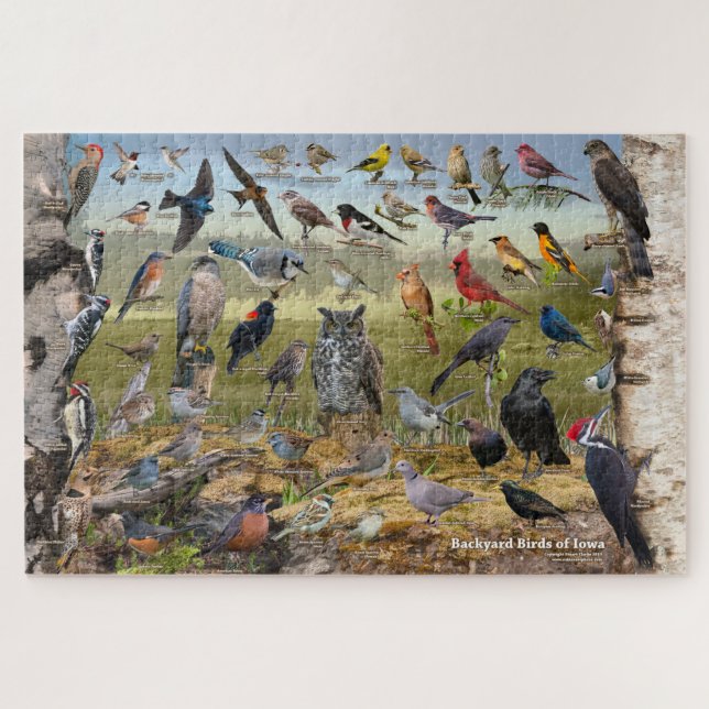 Puzzle Oiseaux jardins de l'Iowa (Horizontal)