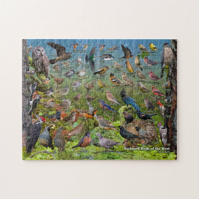 Puzzle Oiseaux jardins de l'Ouest (Horizontal)