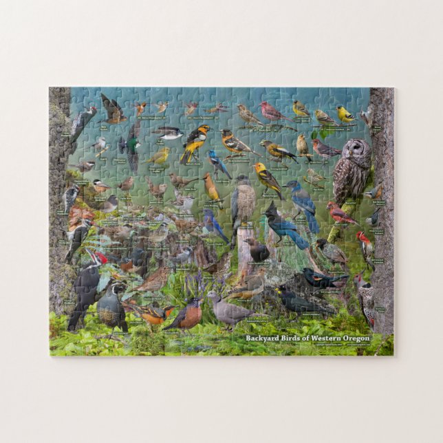 Puzzle Oiseaux jardins de l'ouest de l'Oregon (Horizontal)