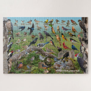 Puzzle Oiseaux Jardins de New York