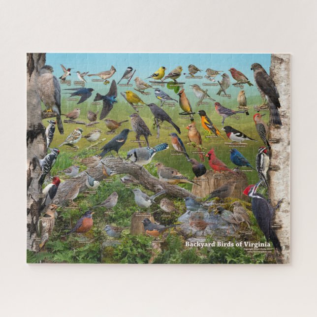 Puzzle Oiseaux Jardins de Virginie (Horizontal)