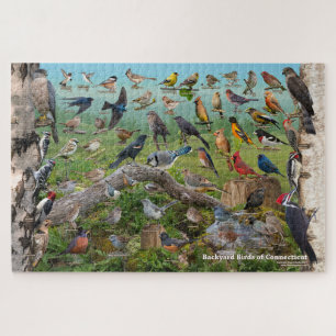 Puzzle Oiseaux Jardins du Connecticut