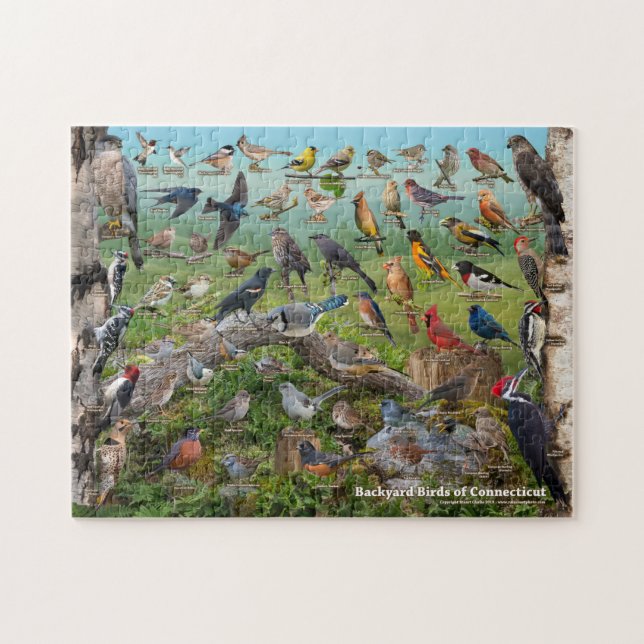 Puzzle Oiseaux jardins du Connecticut (Horizontal)