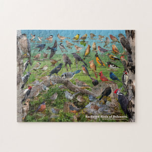 Puzzle Oiseaux Jardins du Delaware