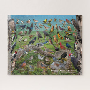 Puzzle Oiseaux Jardins du Delaware