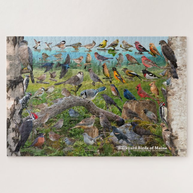 Puzzle Oiseaux jardins du Maine (Horizontal)