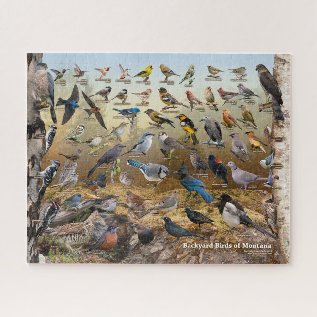 Puzzle Oiseaux Jardins du Montana (Horizontal)