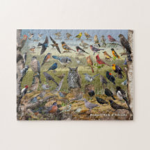 Oiseaux Jardins du Nebraska