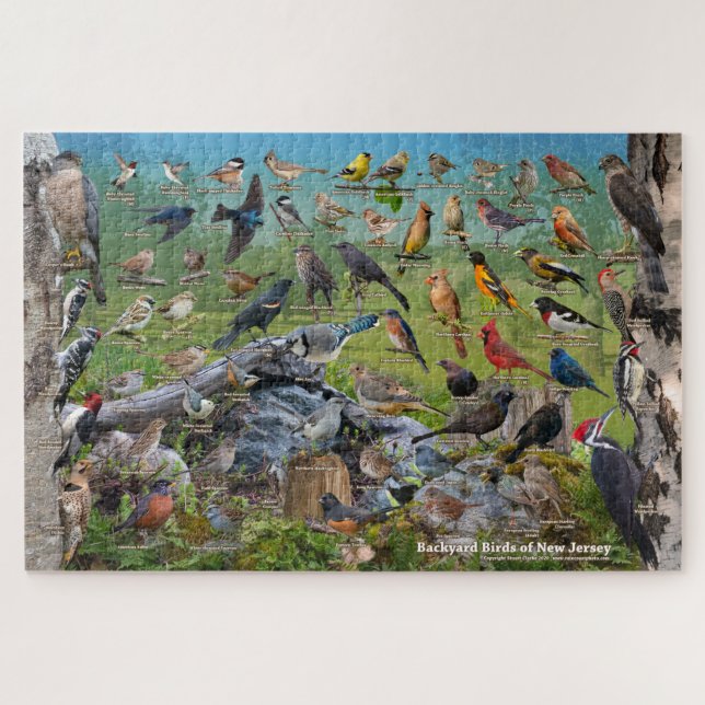 Puzzle Oiseaux jardins du New Jersey (Horizontal)