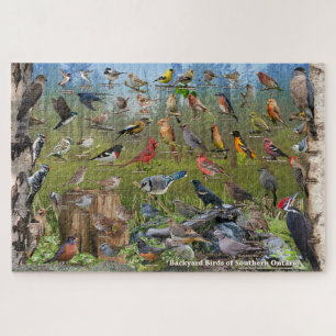 Puzzle Oiseaux jardins du sud de l'Ontario