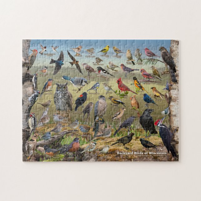 Puzzle Oiseaux jardins du Wisconsin (Horizontal)