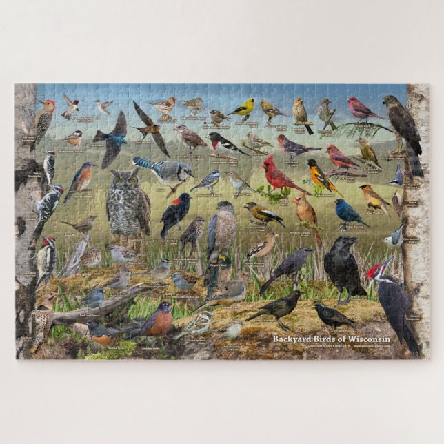 Puzzle Oiseaux jardins du Wisconsin (Horizontal)