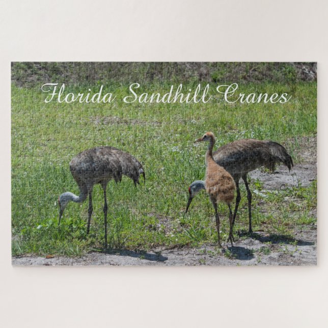 Puzzle Oiseaux mignons Floride Grue Sandhill Nature Pitto (Horizontal)