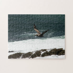 Puzzle Oiseaux pélicans volant Pacifique Rochers