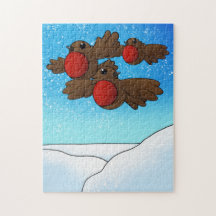 Oiseaux Robin de Noël