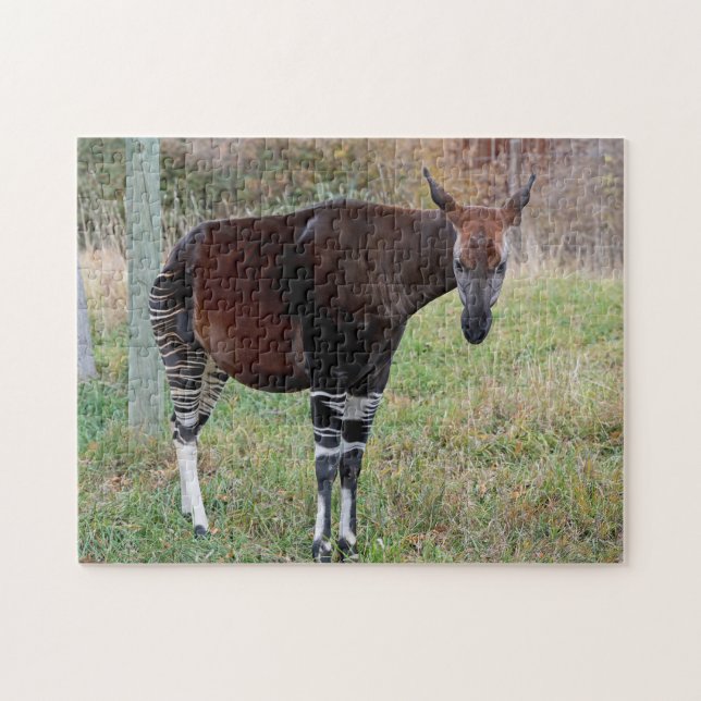 Puzzle Okapi (Horizontal)