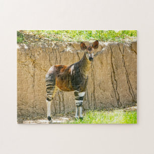 Puzzle Okapi
