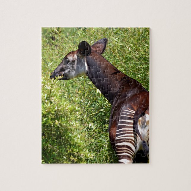 Puzzle Okapi dans la végétation (Vertical)
