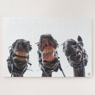 Puzzle On a regardé des chevaux dans la bouche. 3 chevaux