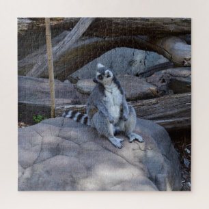 Puzzle Opossum à queue annelée contremaître au travail, 