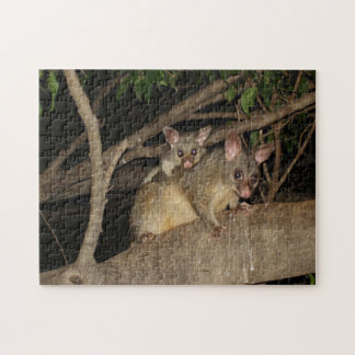 Puzzle Opossums de Brushtail