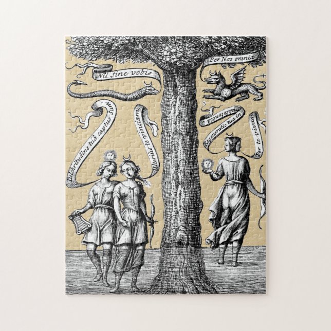 Puzzle Opposants unis par conjonction en Alchimie (Vertical)