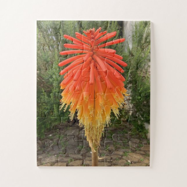 Puzzle Orange and Yellow Flower (Vertical)