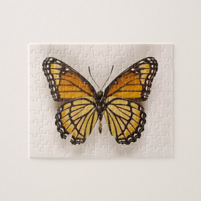 Puzzle Orange Brown à ailes papillon (Horizontal)