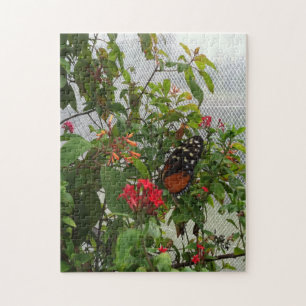 PUZZLE ORANGE BUTTERFLY