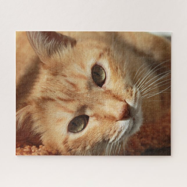 Puzzle Orange Cat (Horizontal)