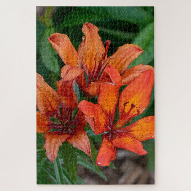 Puzzle Orange Daylily Canadian Flower Photography (Vertical)