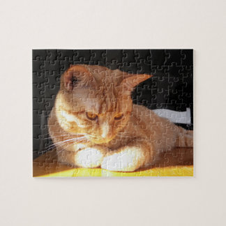 Puzzle orange de chaton