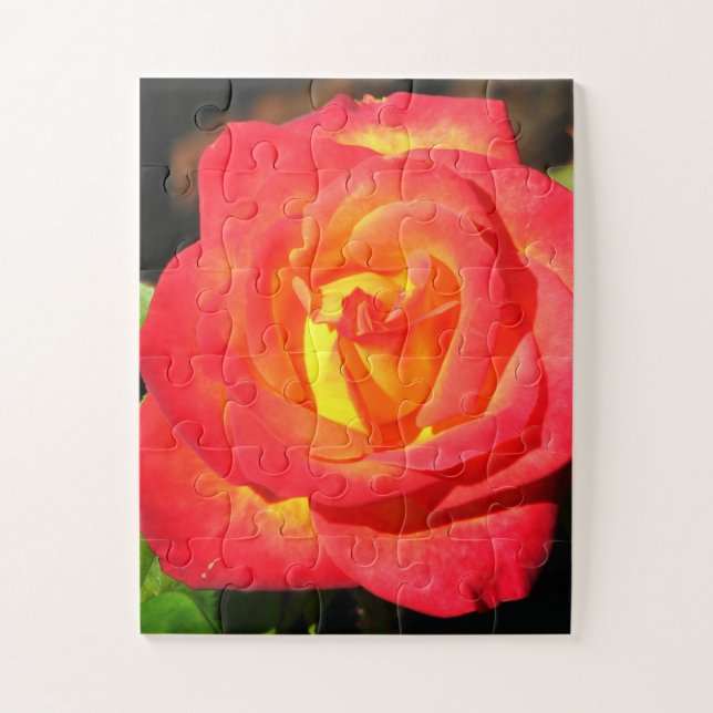 Puzzle Orange et rouge Rose haut de gamme (Vertical)