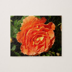 Puzzle Orange Rose I Plutôt Floral