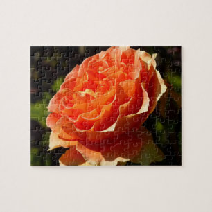 Puzzle Orange Rose II Belle florale