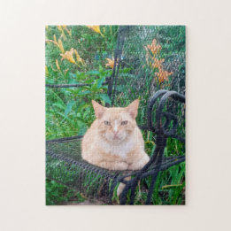 Puzzle Orange Tabby Chat assis en chaise Photo