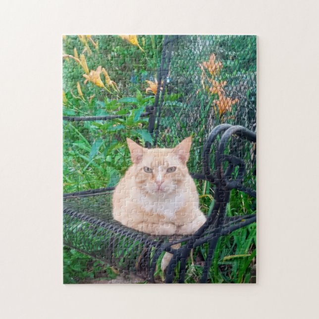 Puzzle Orange Tabby Chat assis en chaise Photo (Vertical)