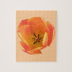 Puzzle Orange Tulip