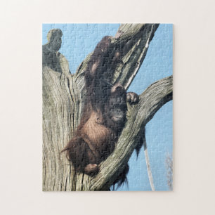 PUZZLE ORANGUTANS