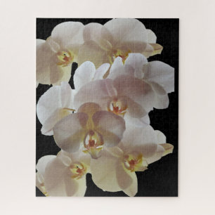 Puzzle ORCHID BLANC
