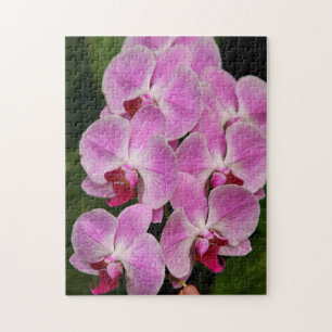 Puzzle - Orchidée