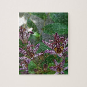 Puzzle Orchidée blanche rayée violette rose comme lys de 