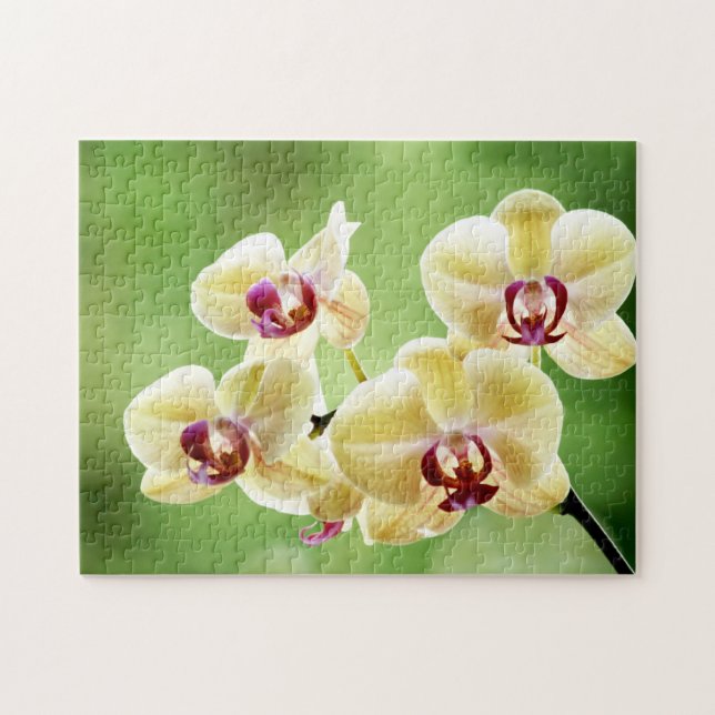 Puzzle Orchidée jaune et rose florale (Horizontal)