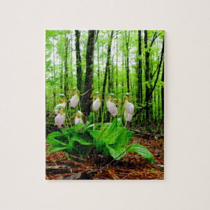 Puzzle Orchidée sauvage de Madame rose pantoufle
