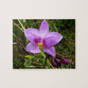 Puzzle Orchidée sauvage violette Fleur tropicale