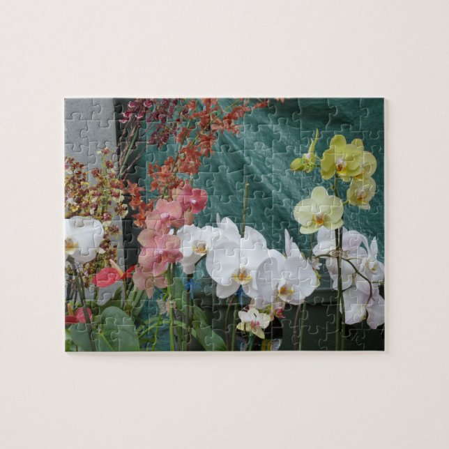 Puzzle Orchidées (Horizontal)