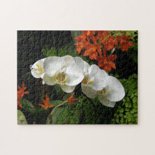 puzzle - Orchidées blanches