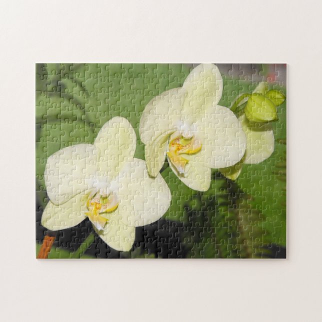 Puzzle Orchidées blanches sur un arrière - plan vert (Horizontal)